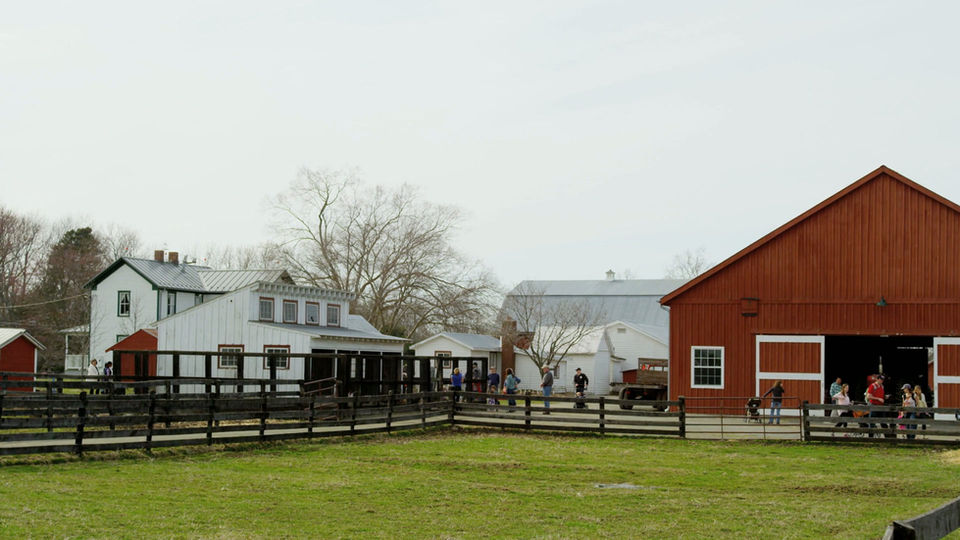 On the Farm - Children's Corner